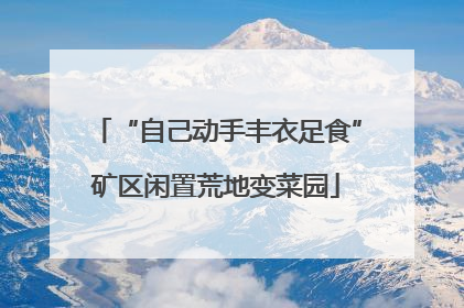 “自己动手丰衣足食”矿区闲置荒地变菜园